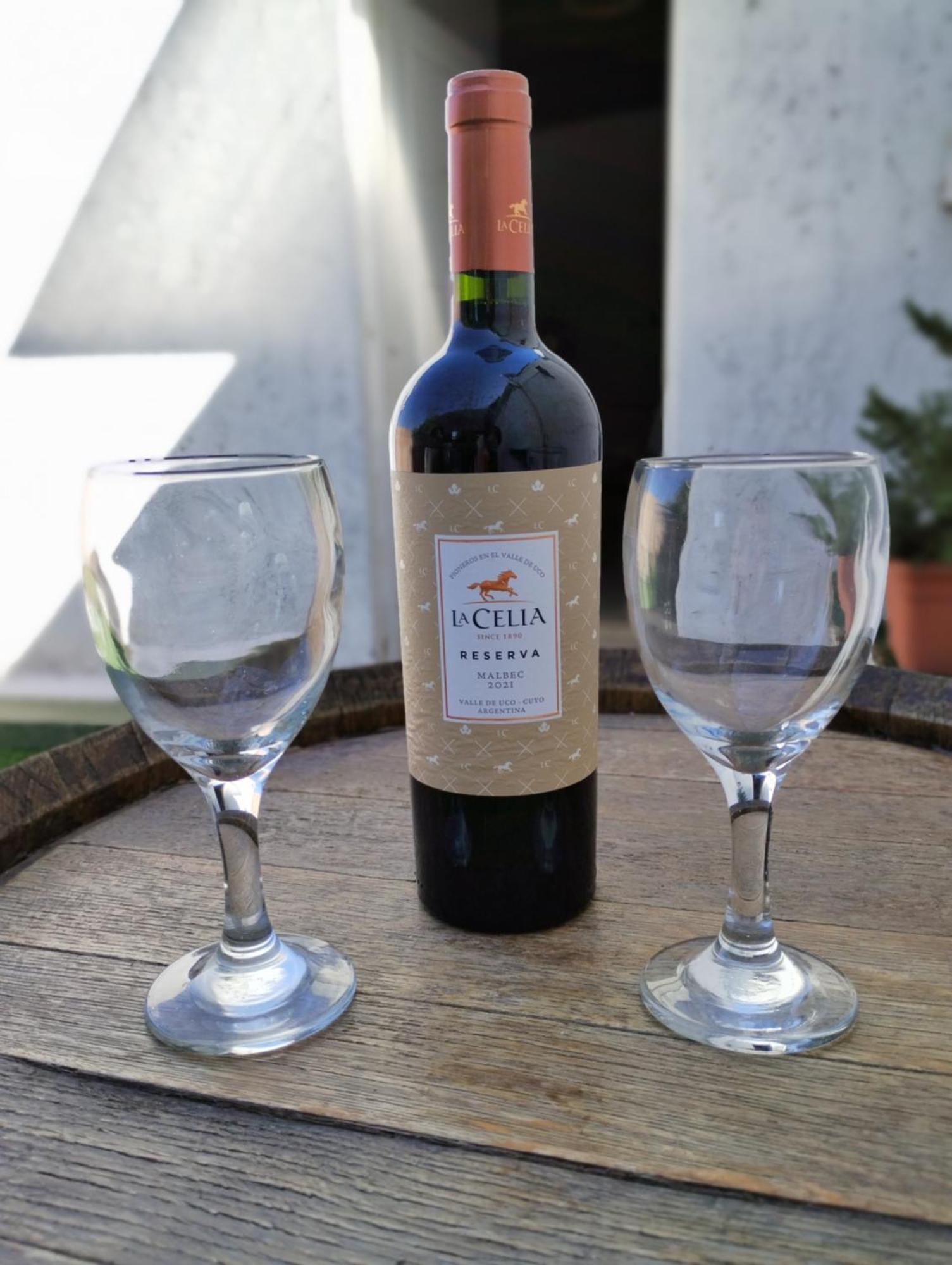 La Barrica Estudio En Mendoza Capital, Centrico Y Acogedor, Con Hermosa Terraza Para Disfrutar Eksteriør billede